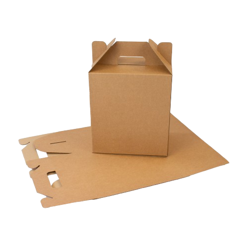 Box Tenteng dengan pegangan, ditampilkan dalam bentuk terakit dan lembaran